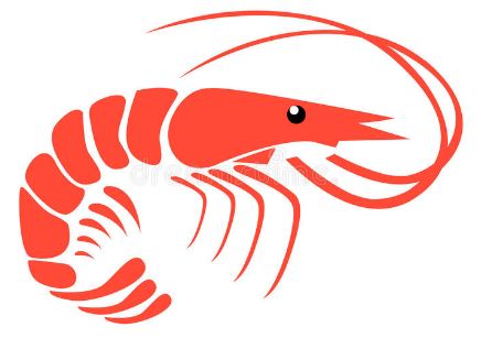 Limite de Patentes Pesca Marismas Nacionales